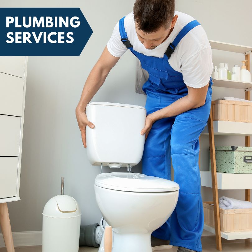 Plumbing Company in Palm Harbor, FL